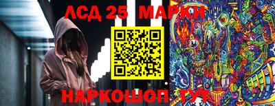 амф Бийск